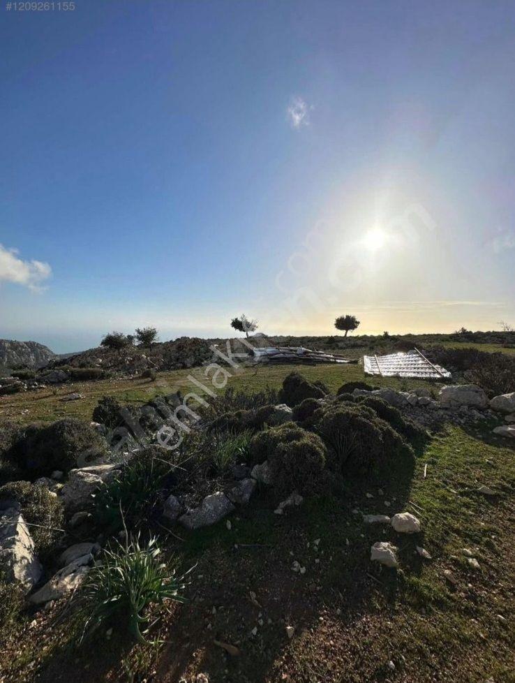 Stop’tan Seydikemer Boğaziçi 3785m² Satılık Tarla - Görsel 3