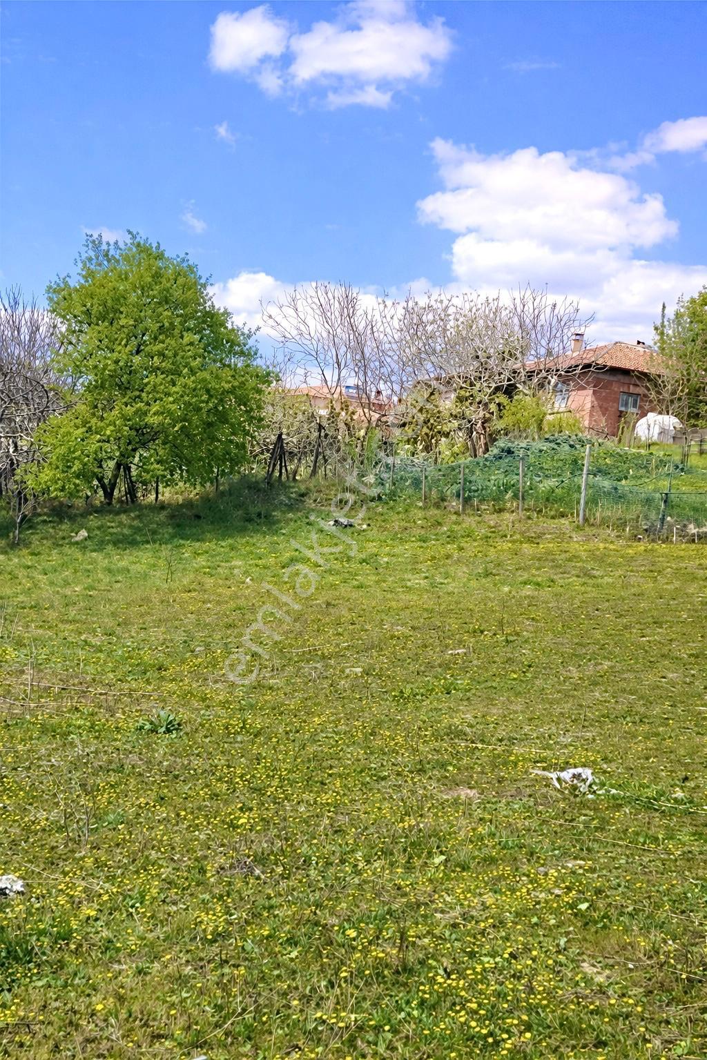 Home And Car'dan Havran Kalabakta %40 İmarlı 700m² 2 Kat Arsa - Görsel 2