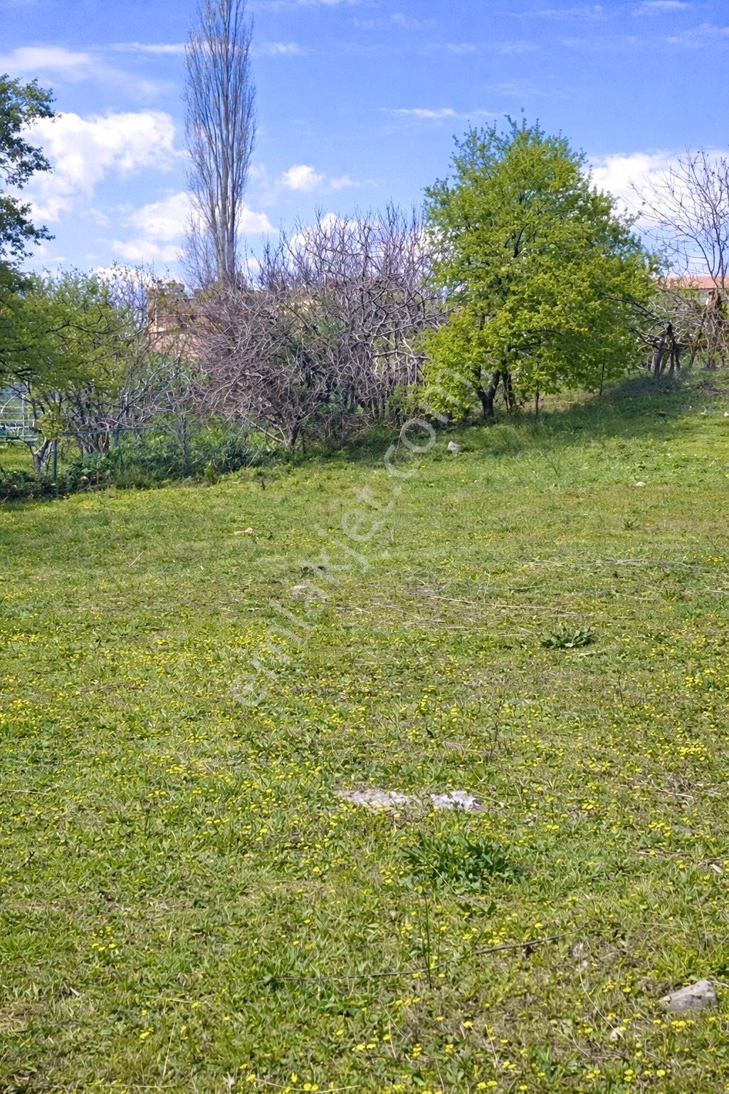 Home And Car'dan Havran Kalabakta %40 İmarlı 700m² 2 Kat Arsa - Görsel 3