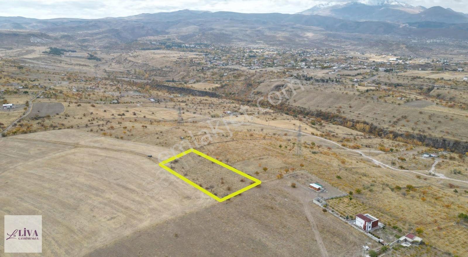 Liva’dan Reşadiye’de Rıza-i Taksimli Harika Konumda 1845 M2 Bağ - Görsel 7