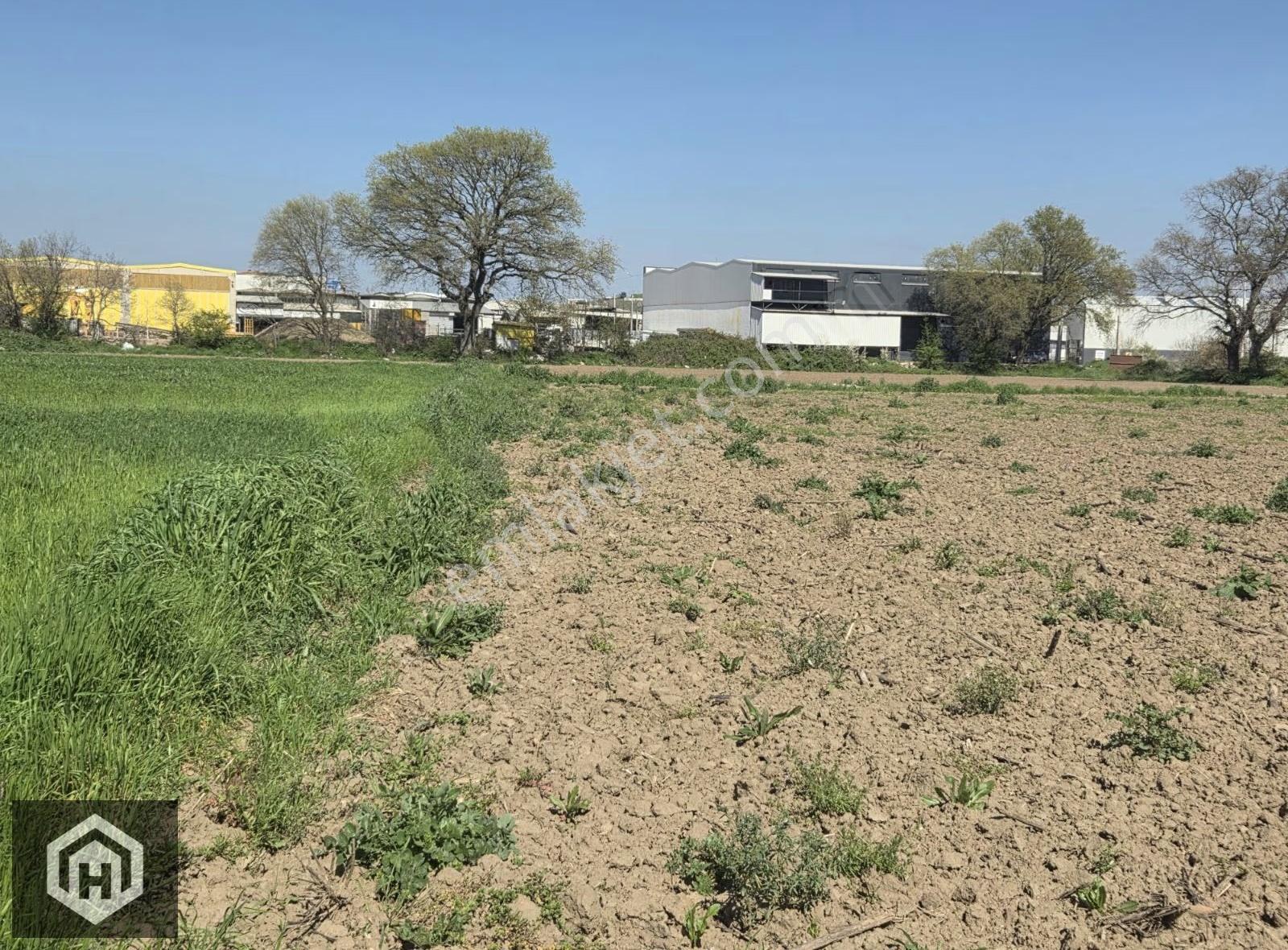 Mustafakemalpaşa Kavaklı Mh 196mt2 Sanayi İmarlı Arsa - Görsel 10