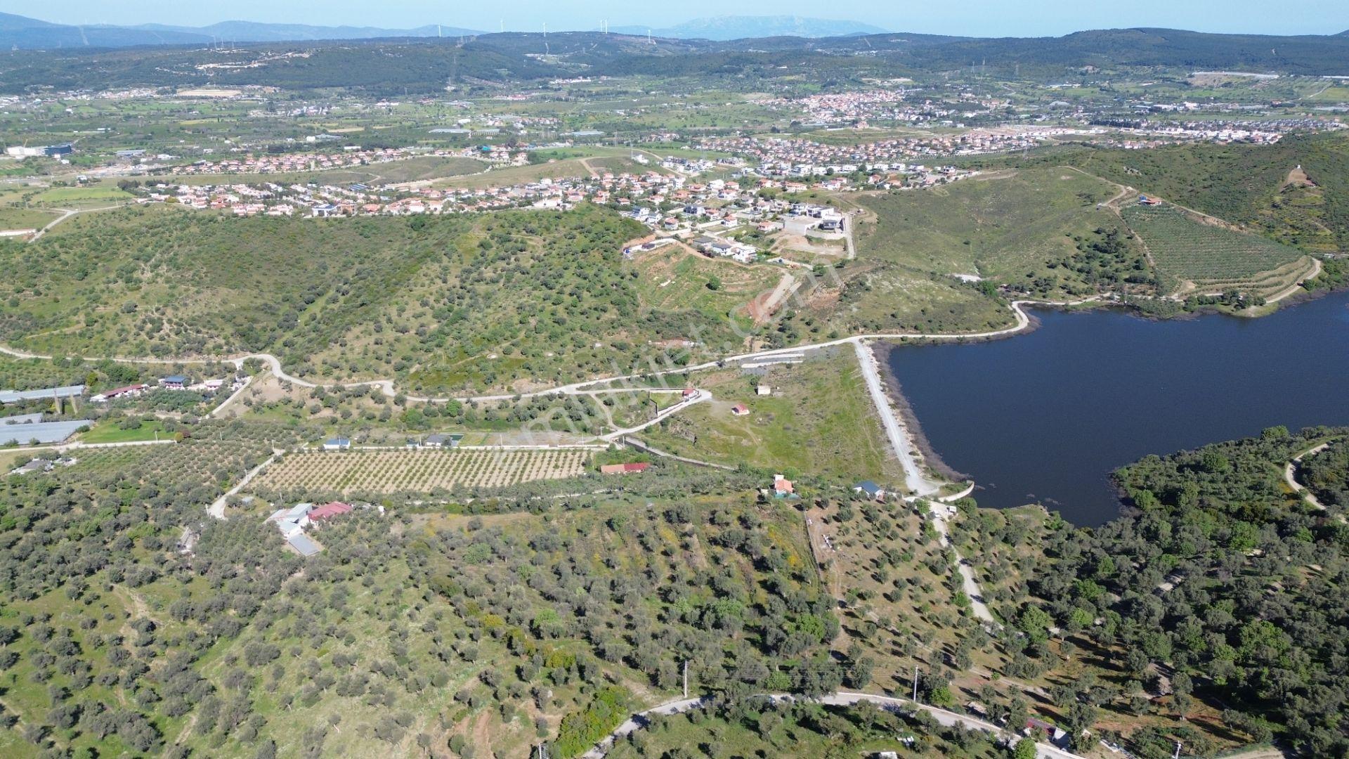 Seferihisar Ulamış’ta Satılık Zeytinlik | Vadi Ve Göl Manzaralı - Görsel 22