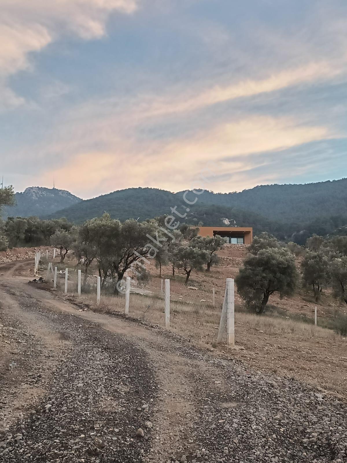 Kemalpaşa'da Yeşilköy Çeşmeönü Mevkin'de Satılık Arazi - Görsel 9