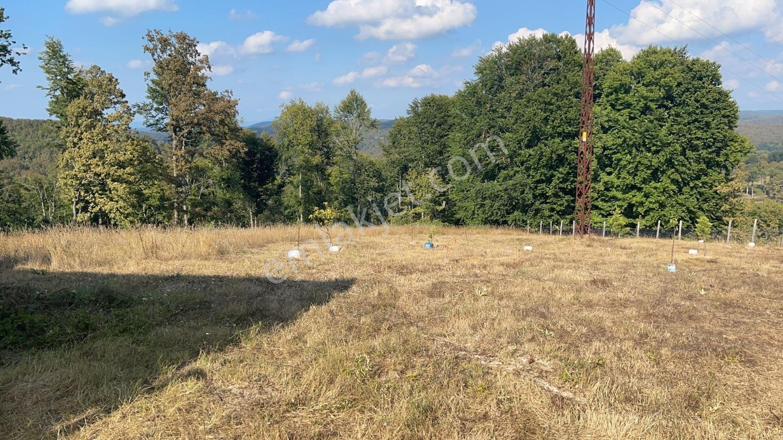 Kırklareli Demirköy Boztaş Köyü'nde Satılık 5066 M² Tarla - Görsel 2