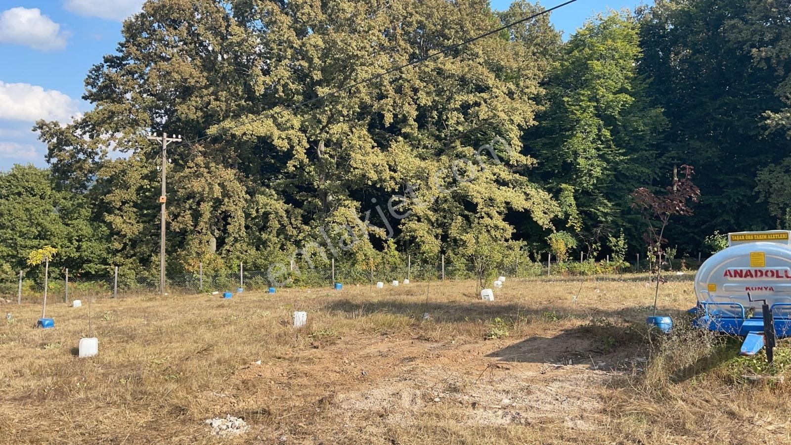 Kırklareli Demirköy Boztaş Köyü'nde Satılık 5066 M² Tarla - Görsel 8