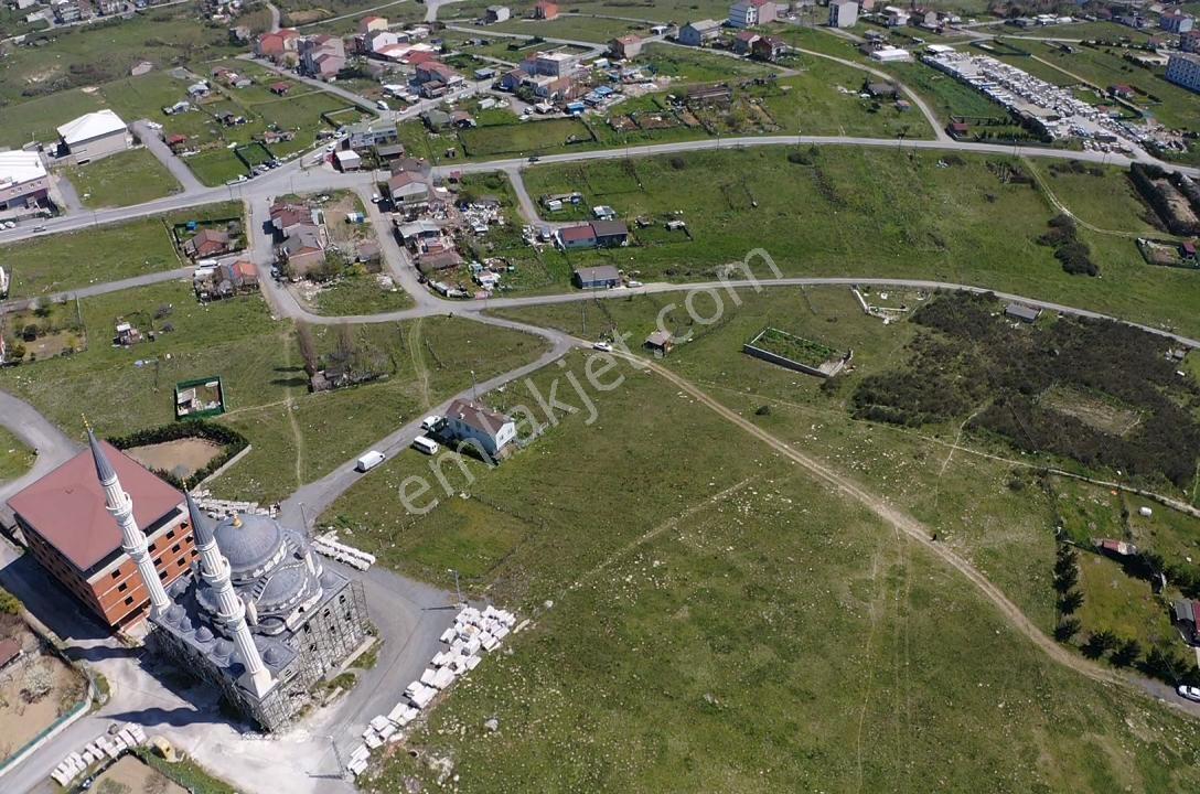 Taşoluk Türköşe Tek Tapu Net 311 M2 Ve 122 M2 1/2 Arsa Net Arsa - Görsel 16