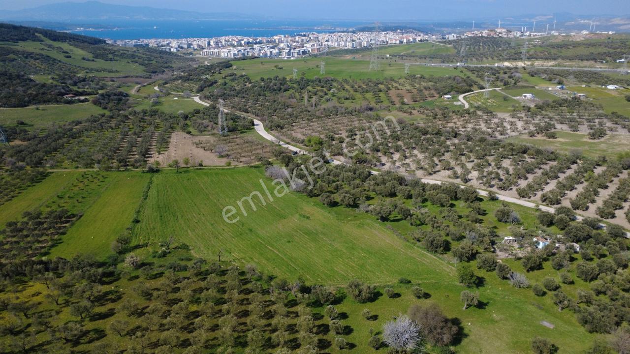 Samurluda 10500m2 Satılık Yolu Olan Tarla - Görsel 17