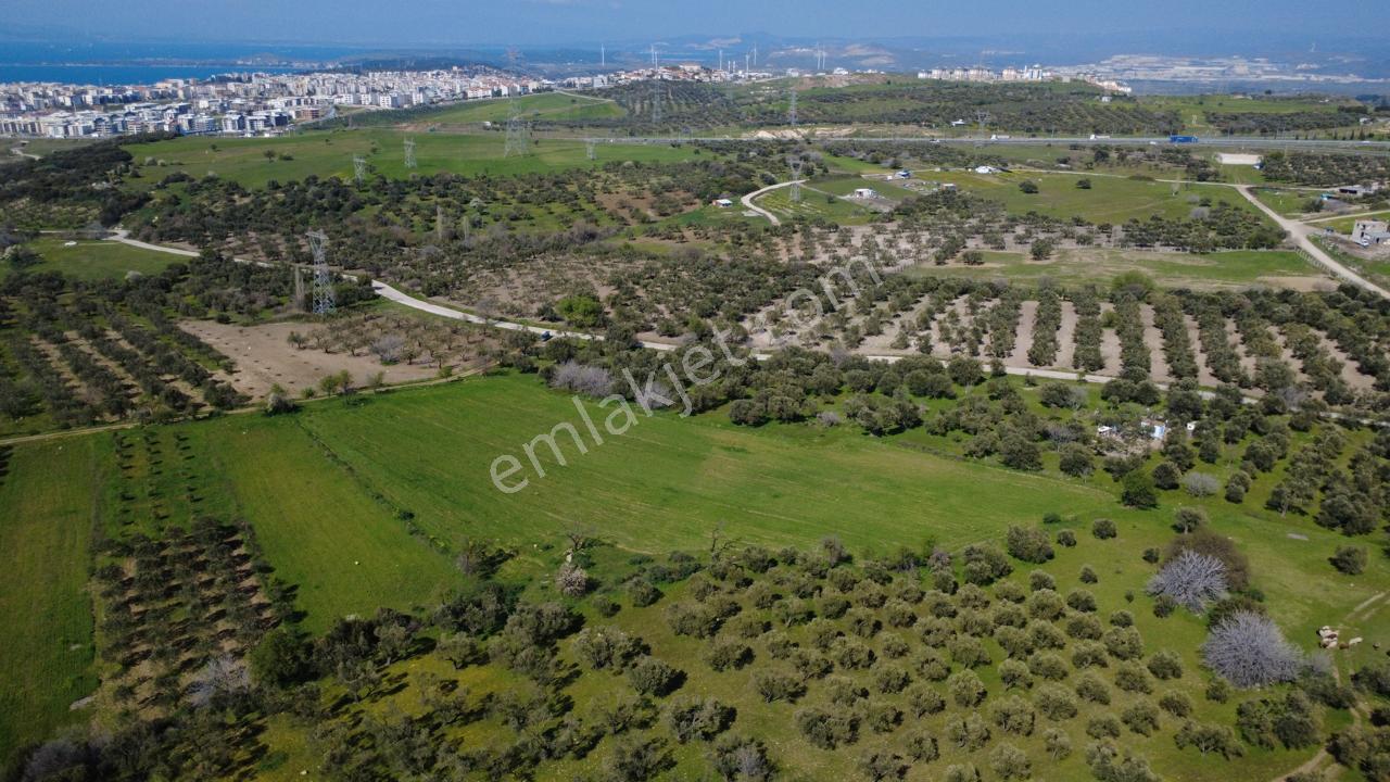 Samurluda 10500m2 Satılık Yolu Olan Tarla - Görsel 16