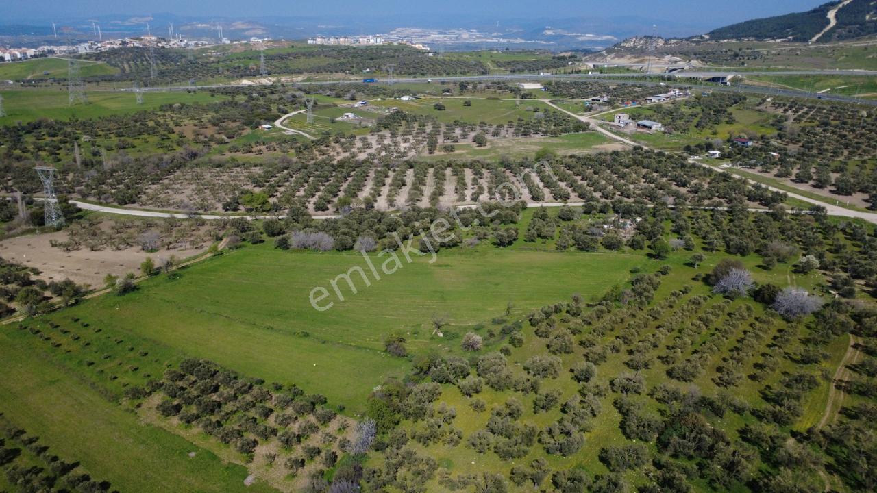 Samurluda 10500m2 Satılık Yolu Olan Tarla - Görsel 15