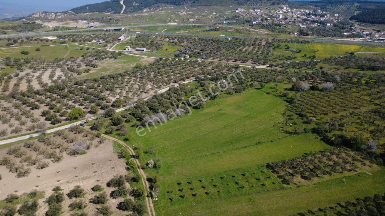 Samurluda 10500m2 Satılık Yolu Olan Tarla - Görsel 12