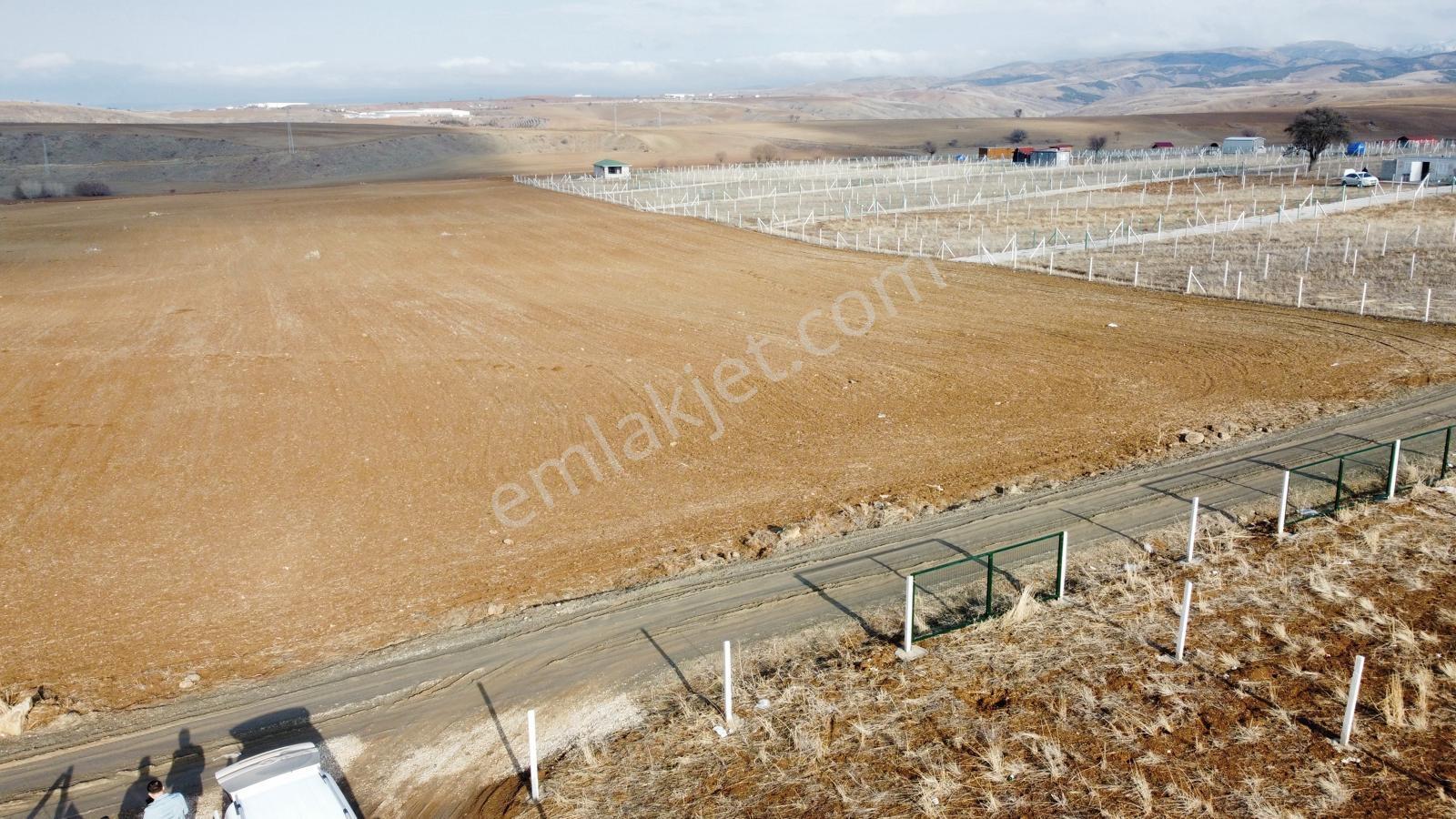 -*bahçelerin İçinde Yol Kenarı Düzlük Te 665 Metre Hisseli Tapu* - Görsel 6
