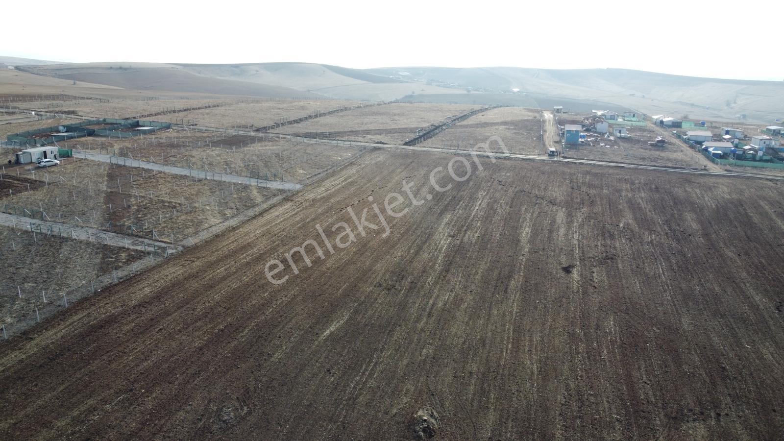 -*bahçelerin İçinde Yol Kenarı Düzlük Te 665 Metre Hisseli Tapu* - Görsel 3