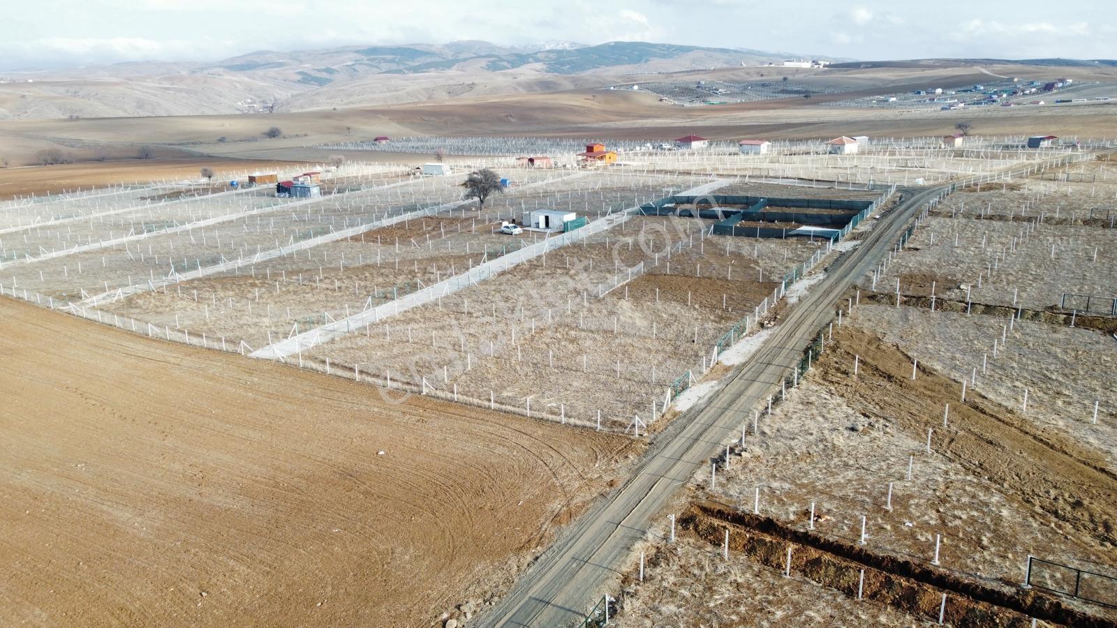 -*bahçelerin İçinde Yol Kenarı Düzlük Te 665 Metre Hisseli Tapu* - Görsel 20