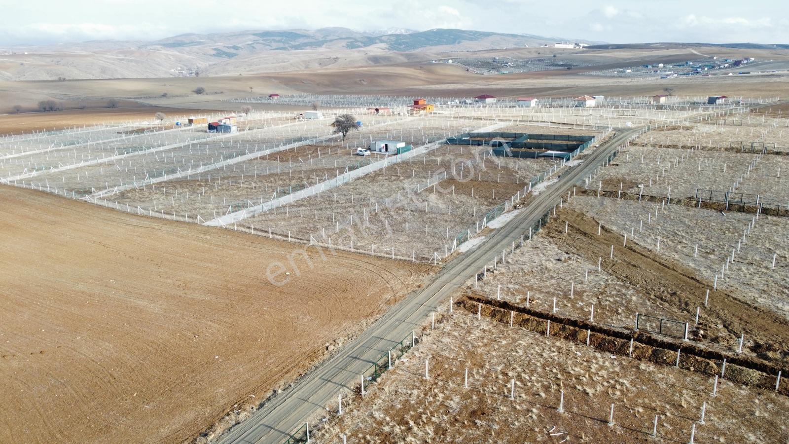 -*bahçelerin İçinde Yol Kenarı Düzlük Te 665 Metre Hisseli Tapu* - Görsel 22