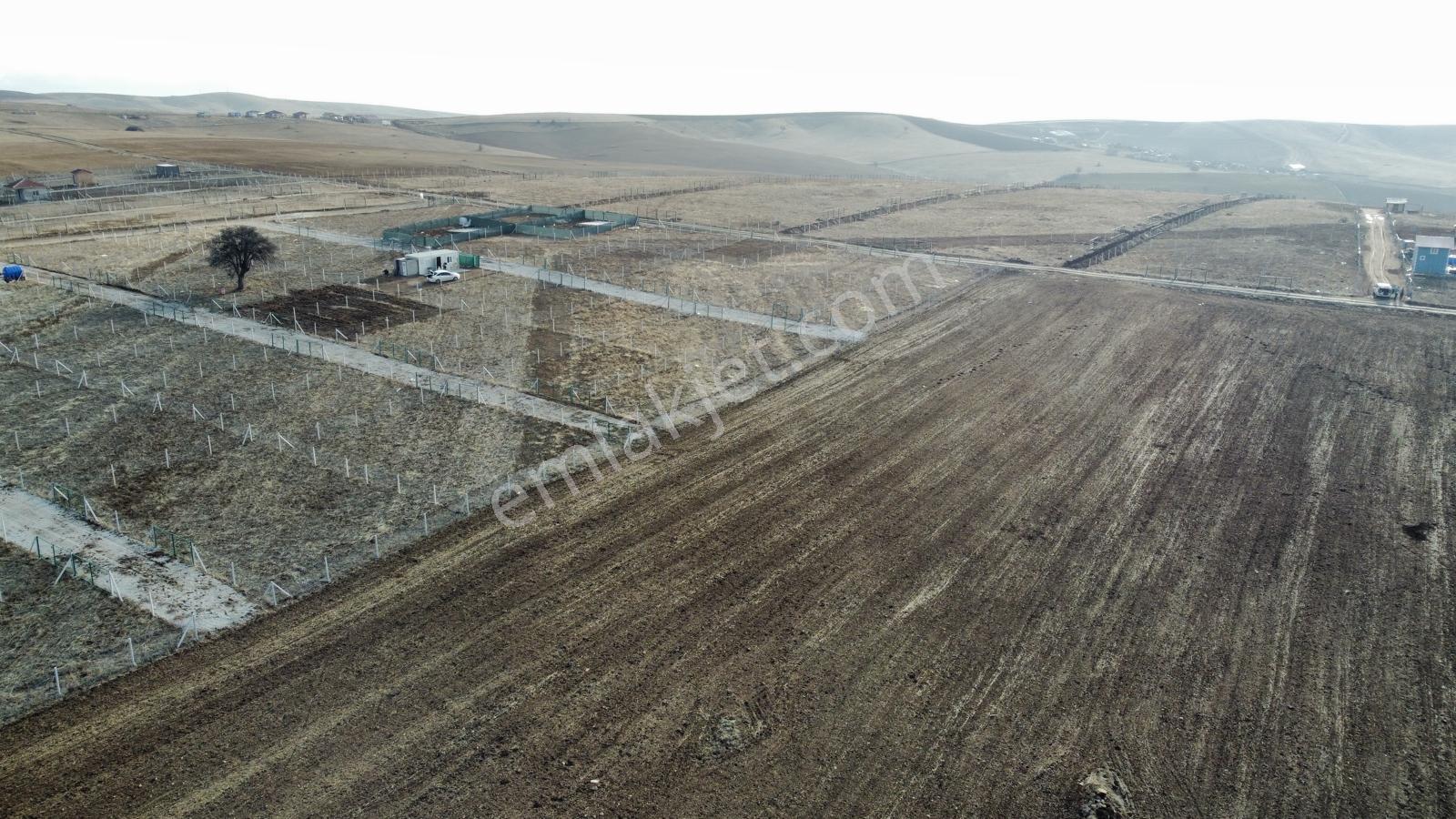 -*bahçelerin İçinde Yol Kenarı Düzlük Te 665 Metre Hisseli Tapu* - Görsel 23
