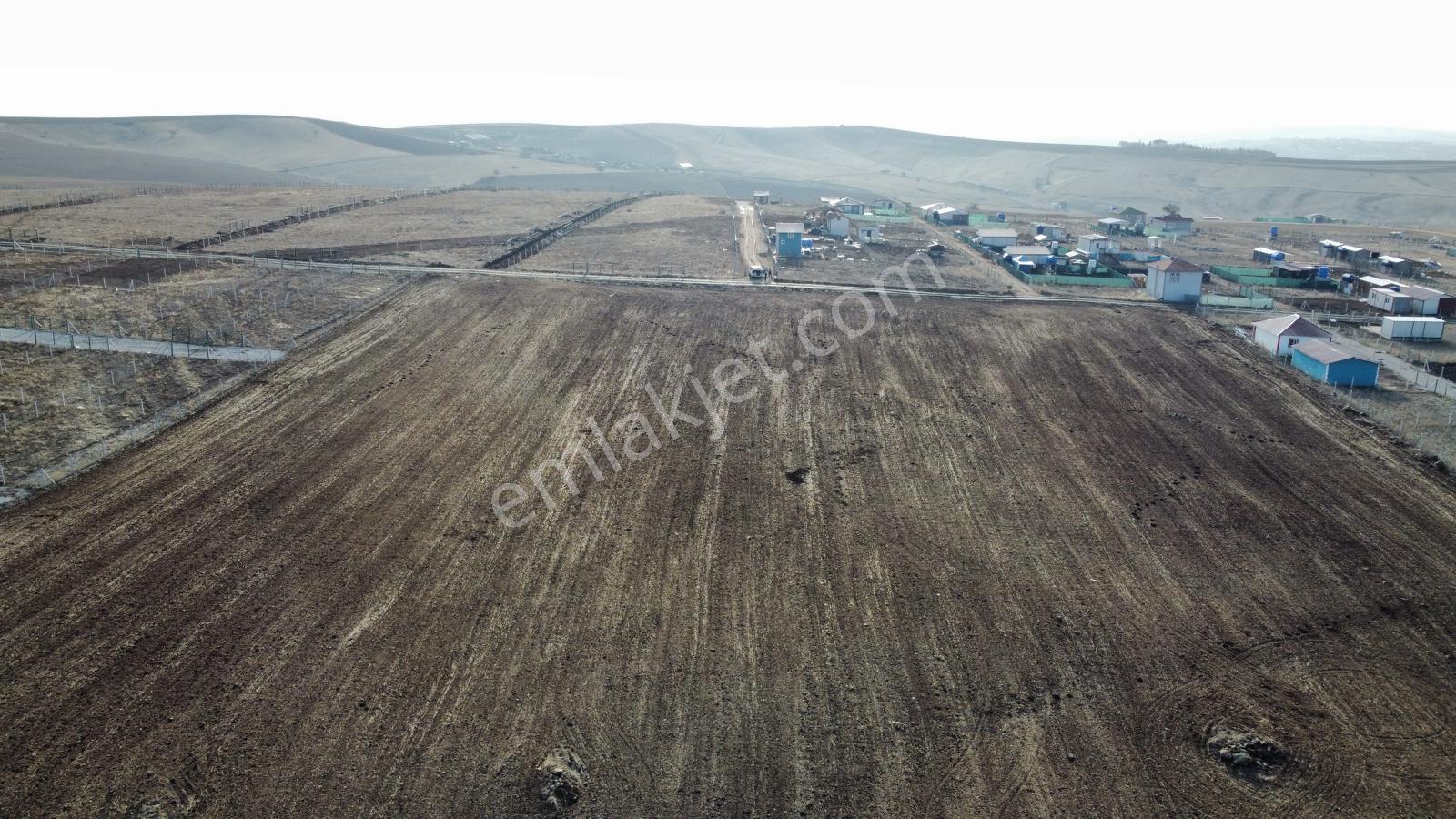 -*bahçelerin İçinde Yol Kenarı Düzlük Te 665 Metre Hisseli Tapu* - Görsel 13