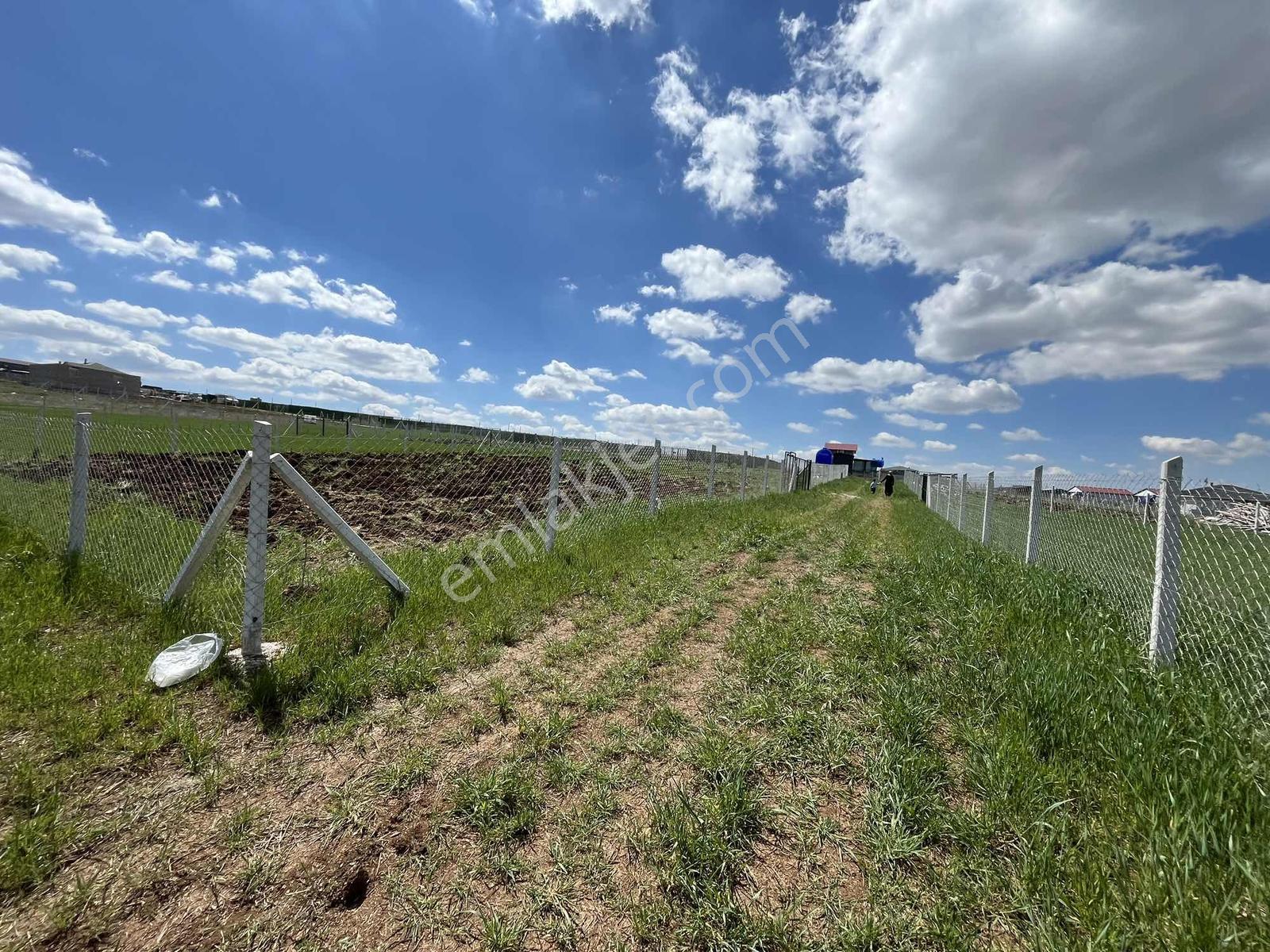 -*bahçelerin İçinde Yol Kenarı Düzlük Te 665 Metre Hisseli Tapu* - Görsel 29