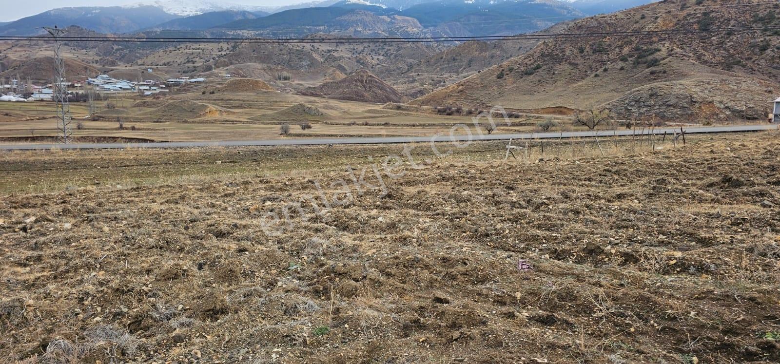 Oltu Bahçecik(tek Tapu) Tarla - Görsel 8