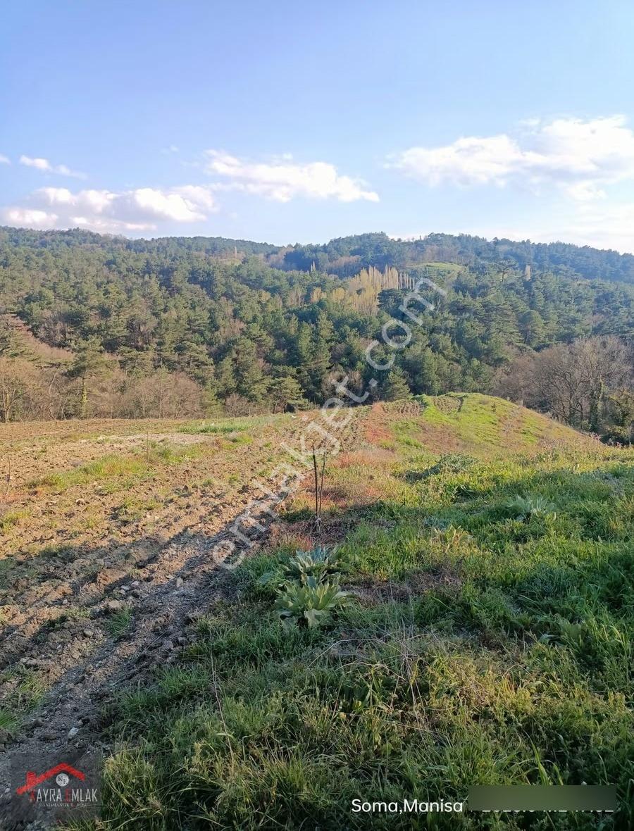 Savaştepe İstiklalde Satılık Cevizlik Zeytinlik - Görsel 12