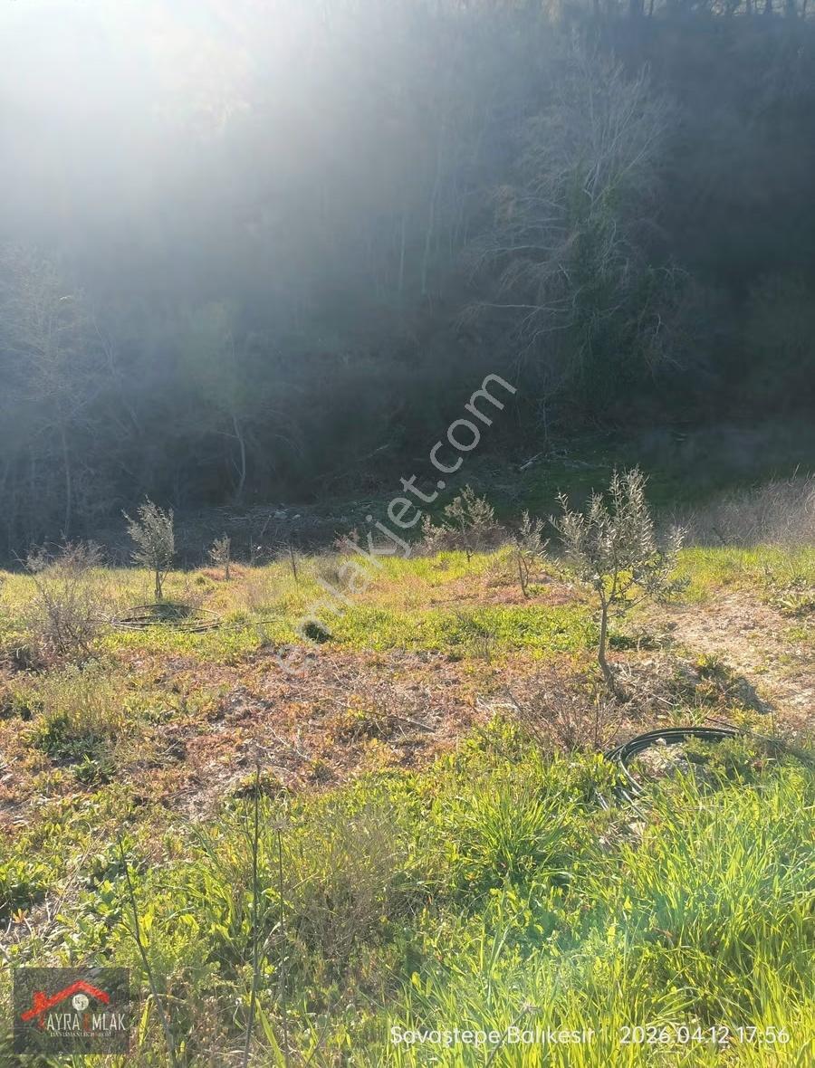 Savaştepe İstiklalde Satılık Cevizlik Zeytinlik - Görsel 7