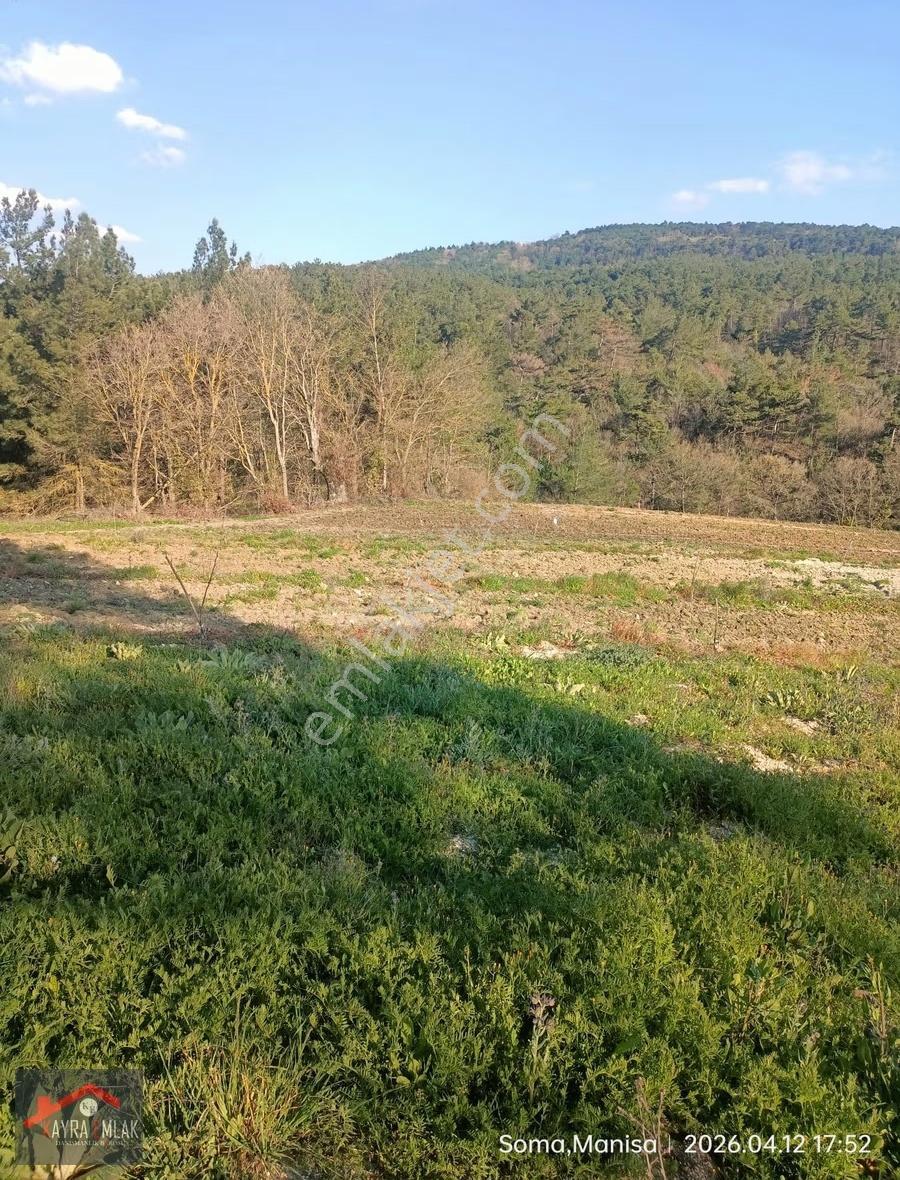 Savaştepe İstiklalde Satılık Cevizlik Zeytinlik - Görsel 25
