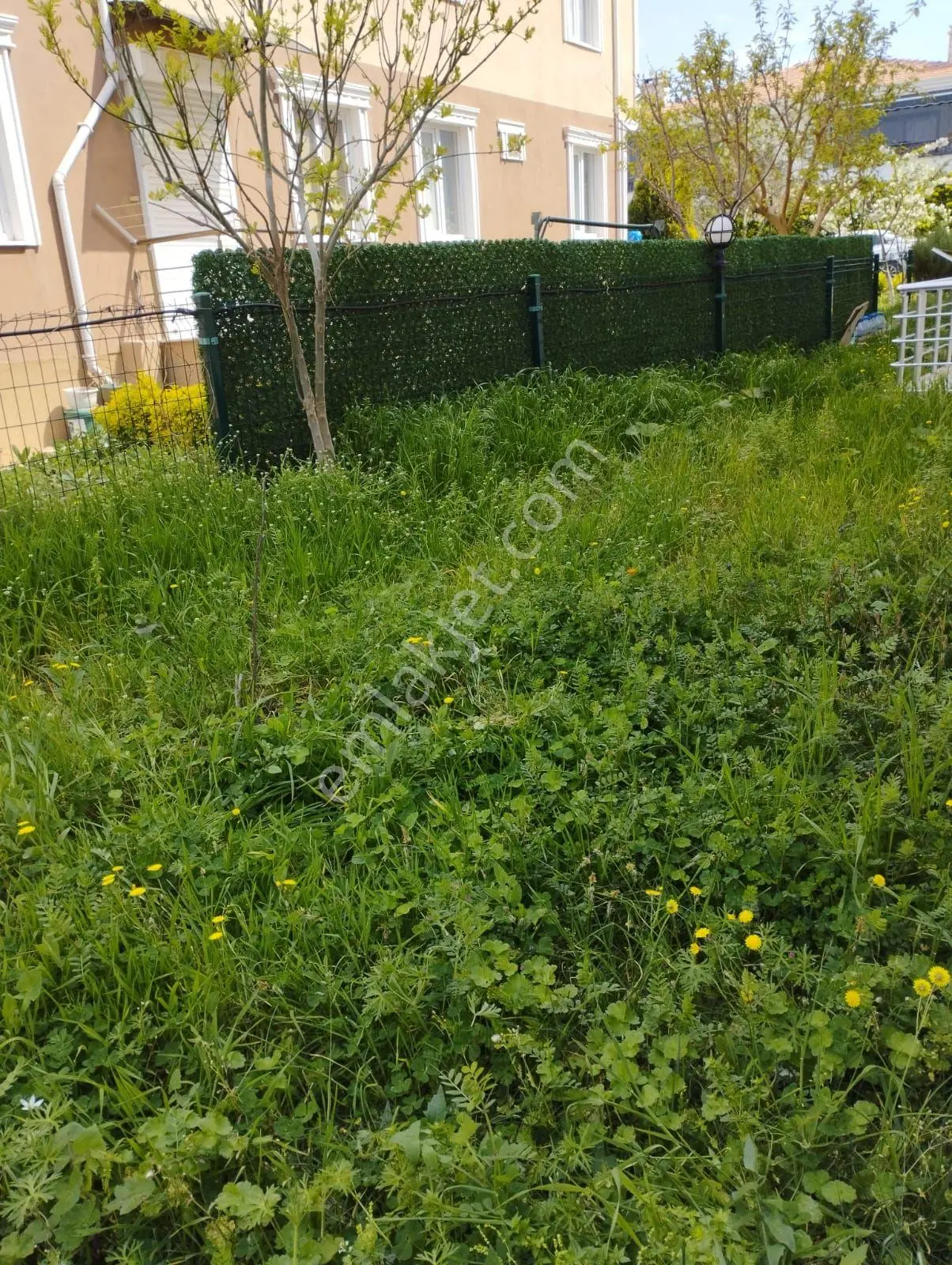 Tekirdağ Şarköy'de Kaçırılmaz Fırsat S - Görsel 4
