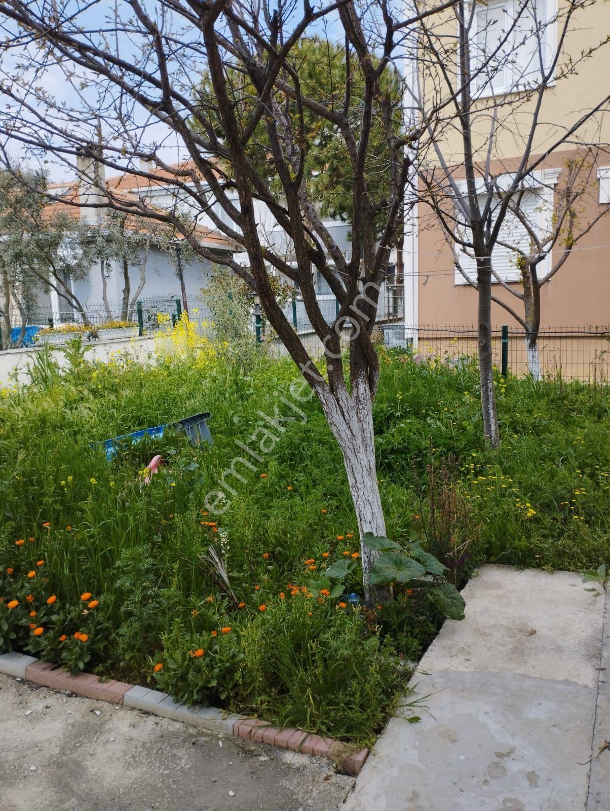 Tekirdağ Şarköy'de Kaçırılmaz Fırsat S - Görsel 7