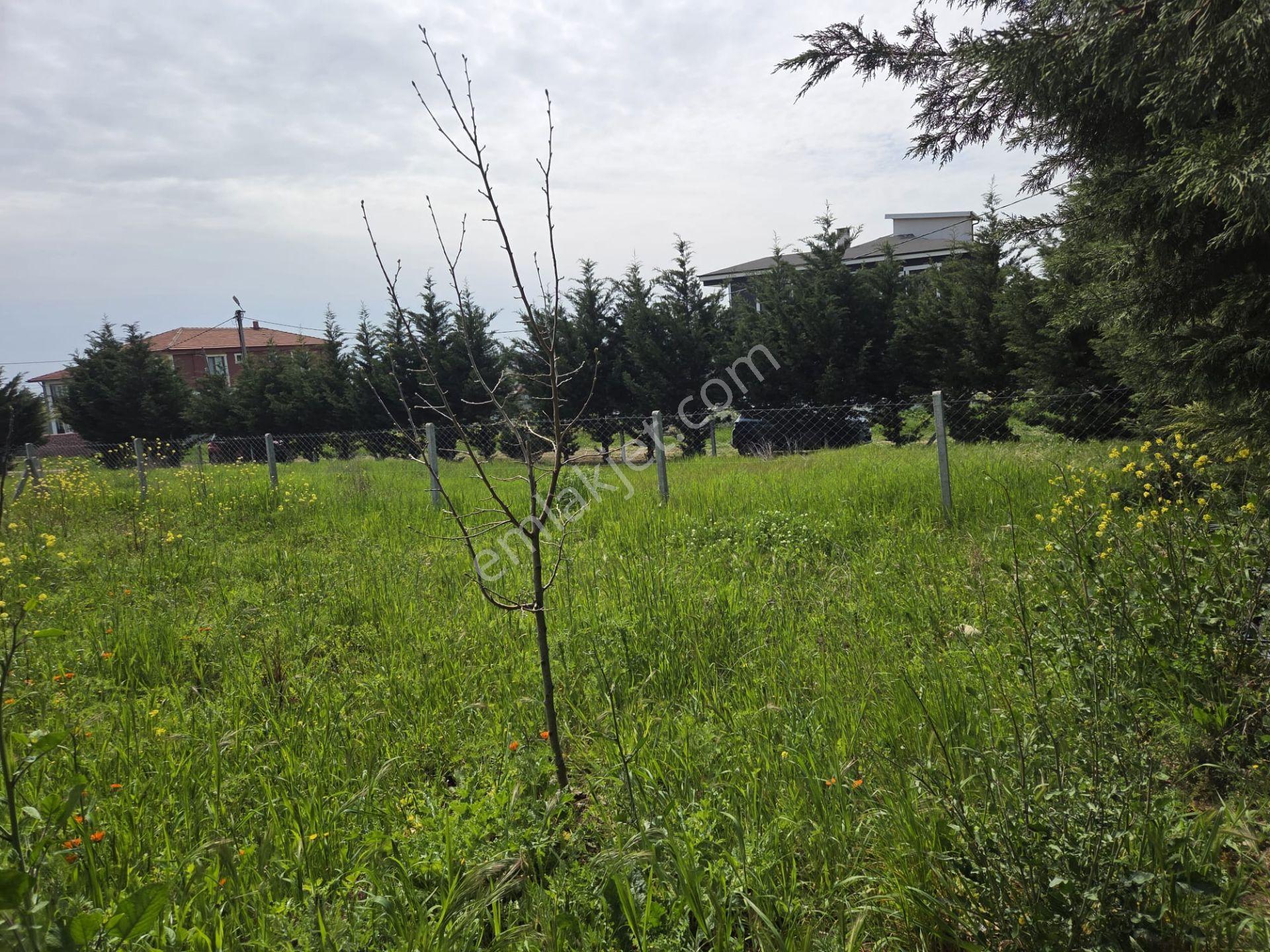 Haydar Emlaktan B.evlerde 167 M2 Netsu,d.gaz,elektrik,alt Yapı Villa Arsası - Görsel 8