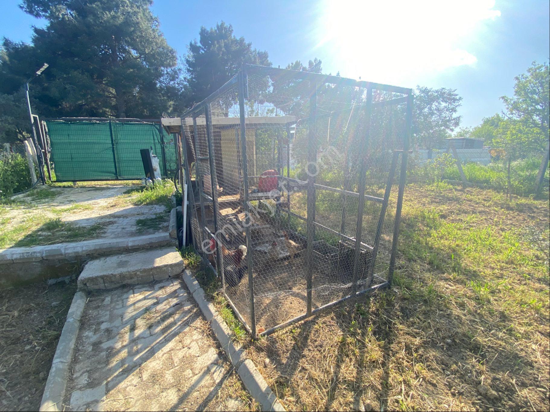 İzmir Torbalı Yazıbaşında Satılık Bahçe - Görsel 15