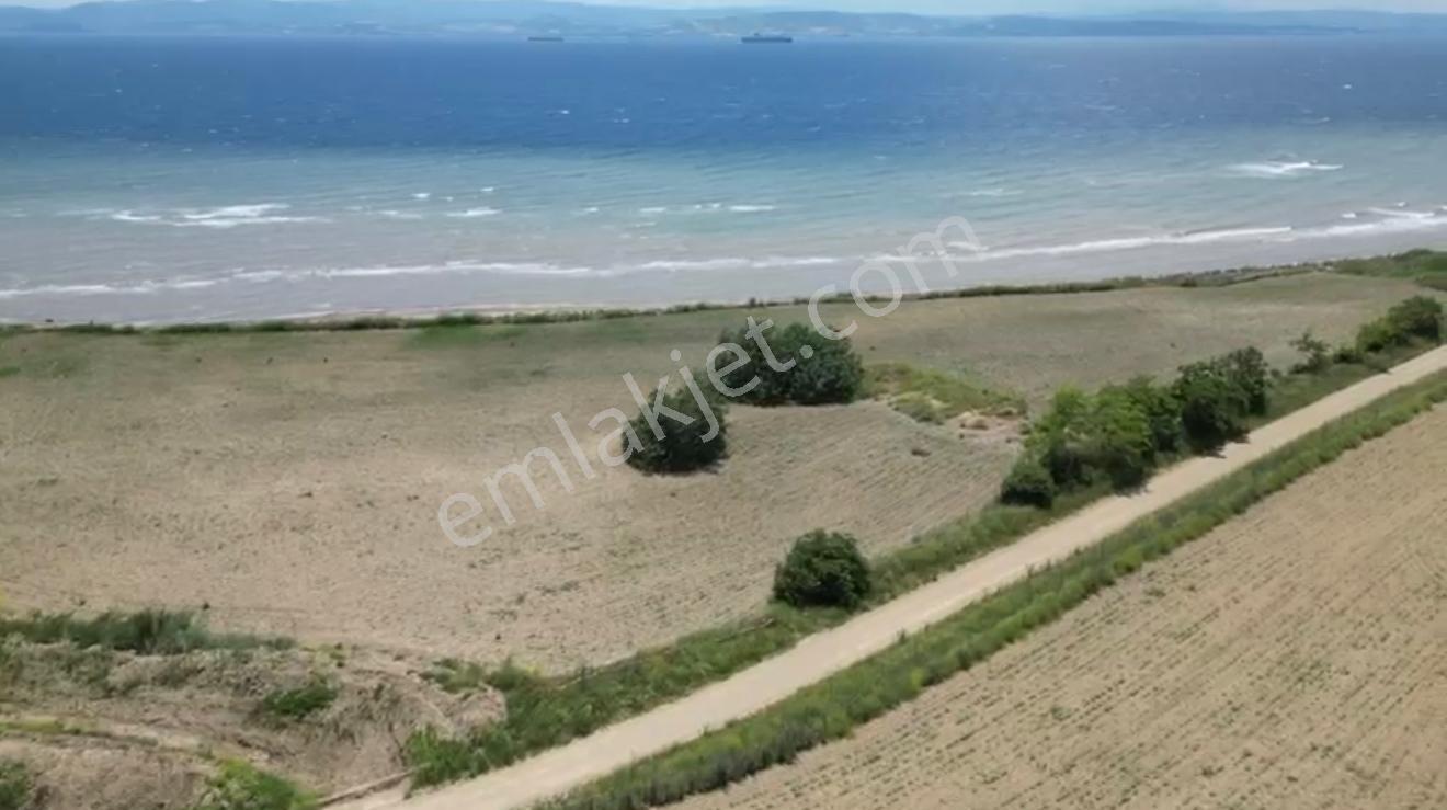 Çanakkale Bolayır Denize Sıfır Arsa - Görsel 12