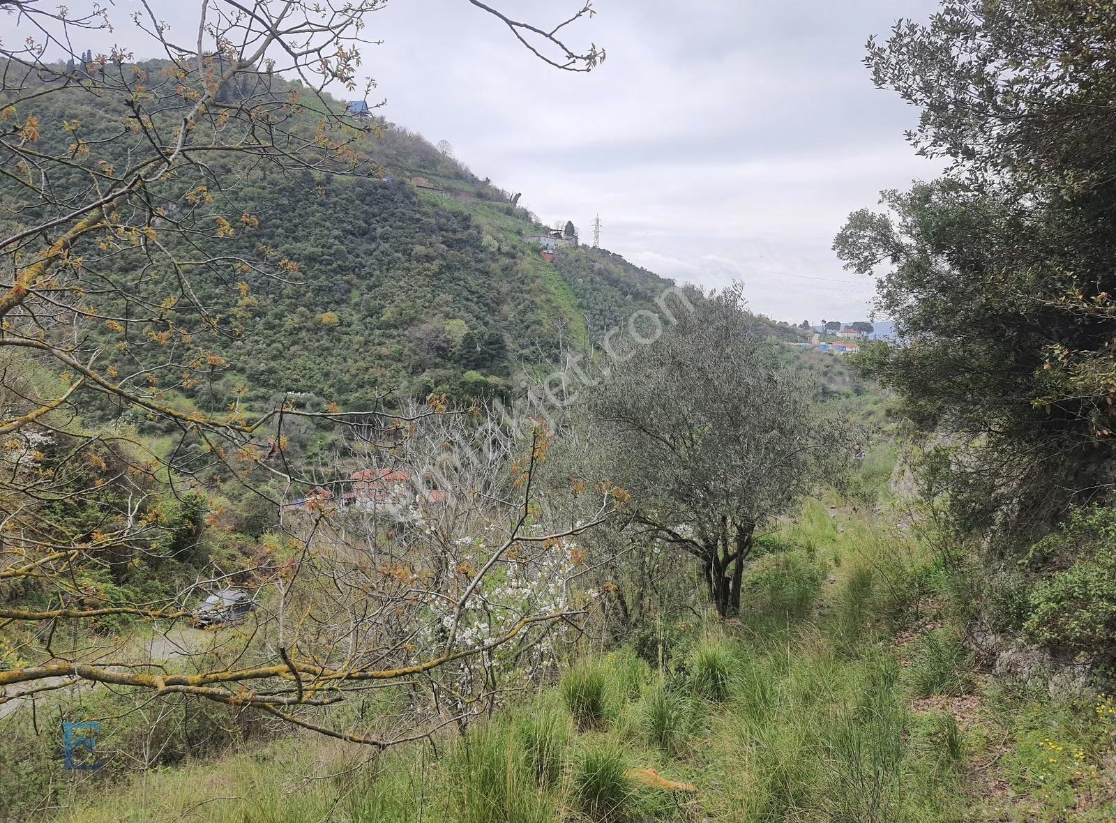 Değirmenderenin Zirvesinde Doğa Ve Deniz Manzaralı Arsa - Görsel 5