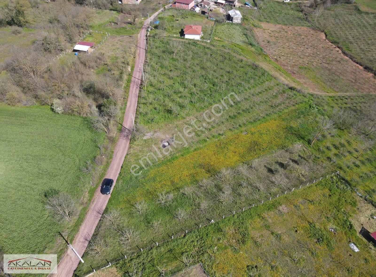 Topluca Mah. Resmi Yollu Elektrik Su Başında - Görsel 5