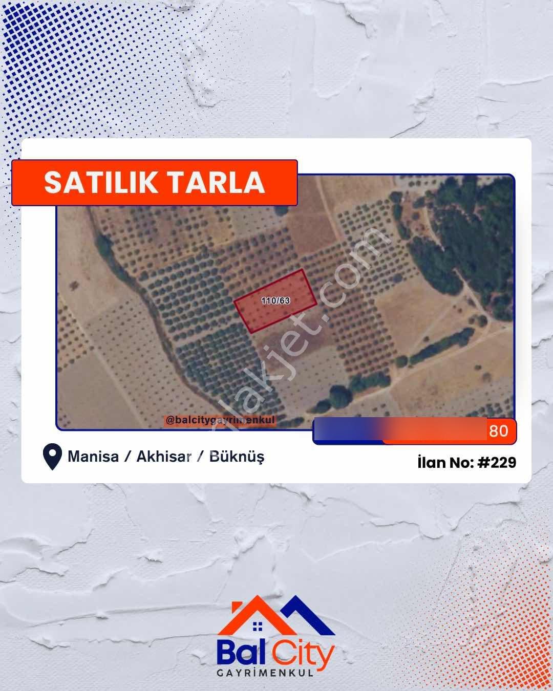 Balcity - Manisa Akhisar'da İlçeye Yakın 1.603 M2 Tarla - Görsel 3