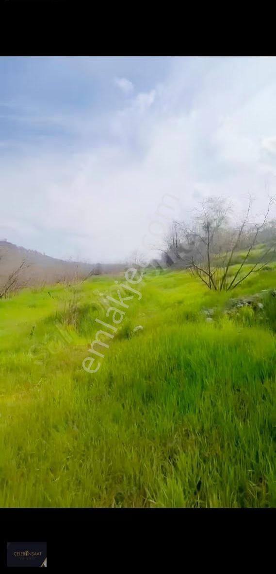 Sakarya Kocaali Hızar Mahallesinde 2.380m2 Fındık Bahçesi - Görsel 4