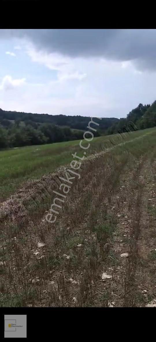 Kırklareli Pınarhisar Poyralı Köyünde 3200 M2 Müstakil Parsel - Görsel 18