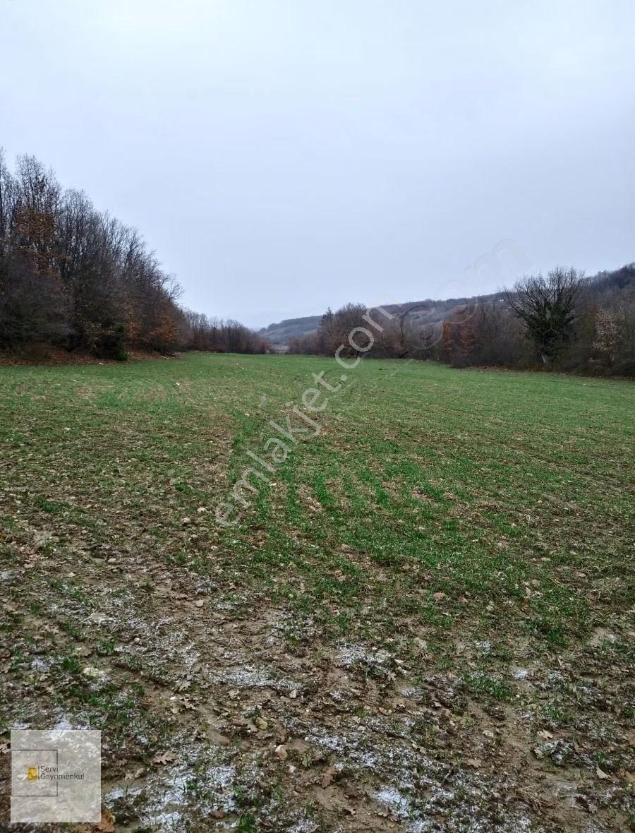 Kırklareli Pınarhisar Poyralı Köyünde 3200 M2 Müstakil Parsel - Görsel 5