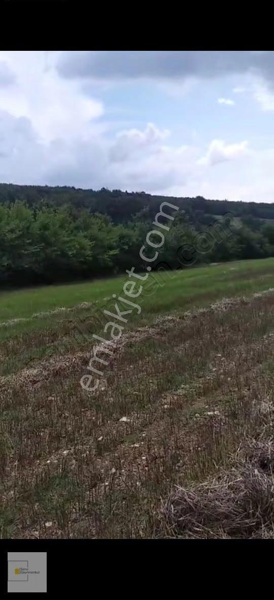Kırklareli Pınarhisar Poyralı Köyünde 3200 M2 Müstakil Parsel - Görsel 4