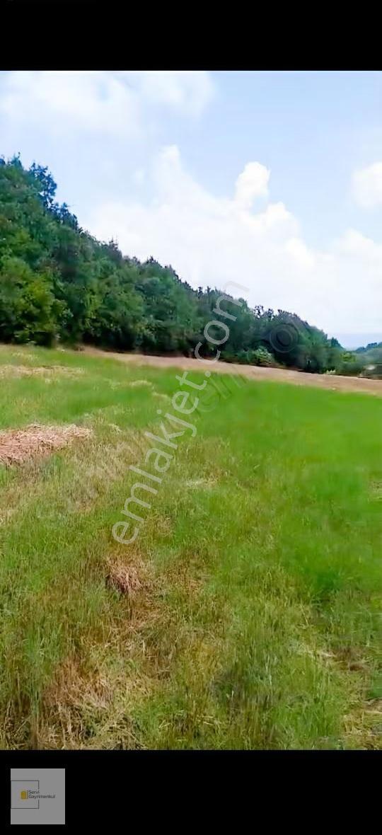 Kırklareli Pınarhisar Poyralı Köyünde 3200 M2 Müstakil Parsel - Görsel 16