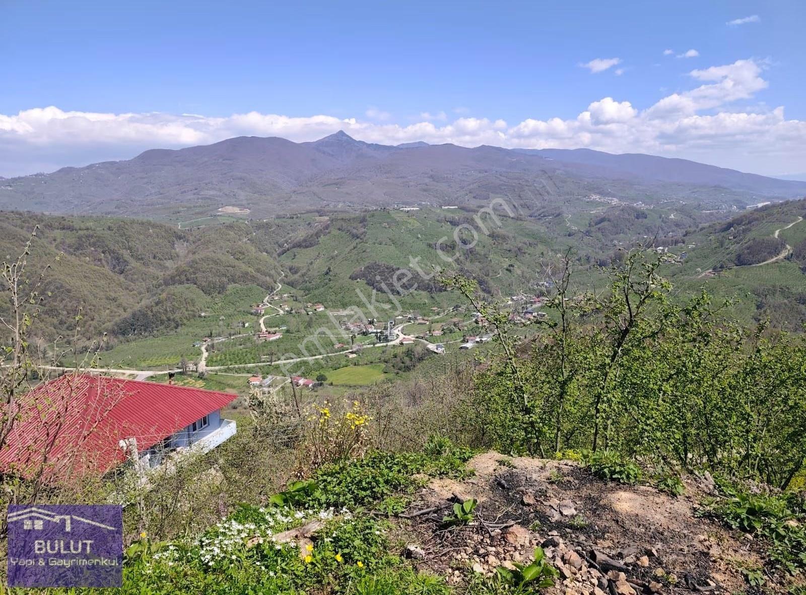 Müthiş Doğa Manzaralı 5.270m2 Fındıklık %40 Inda İmar Mevcut. - Görsel 3