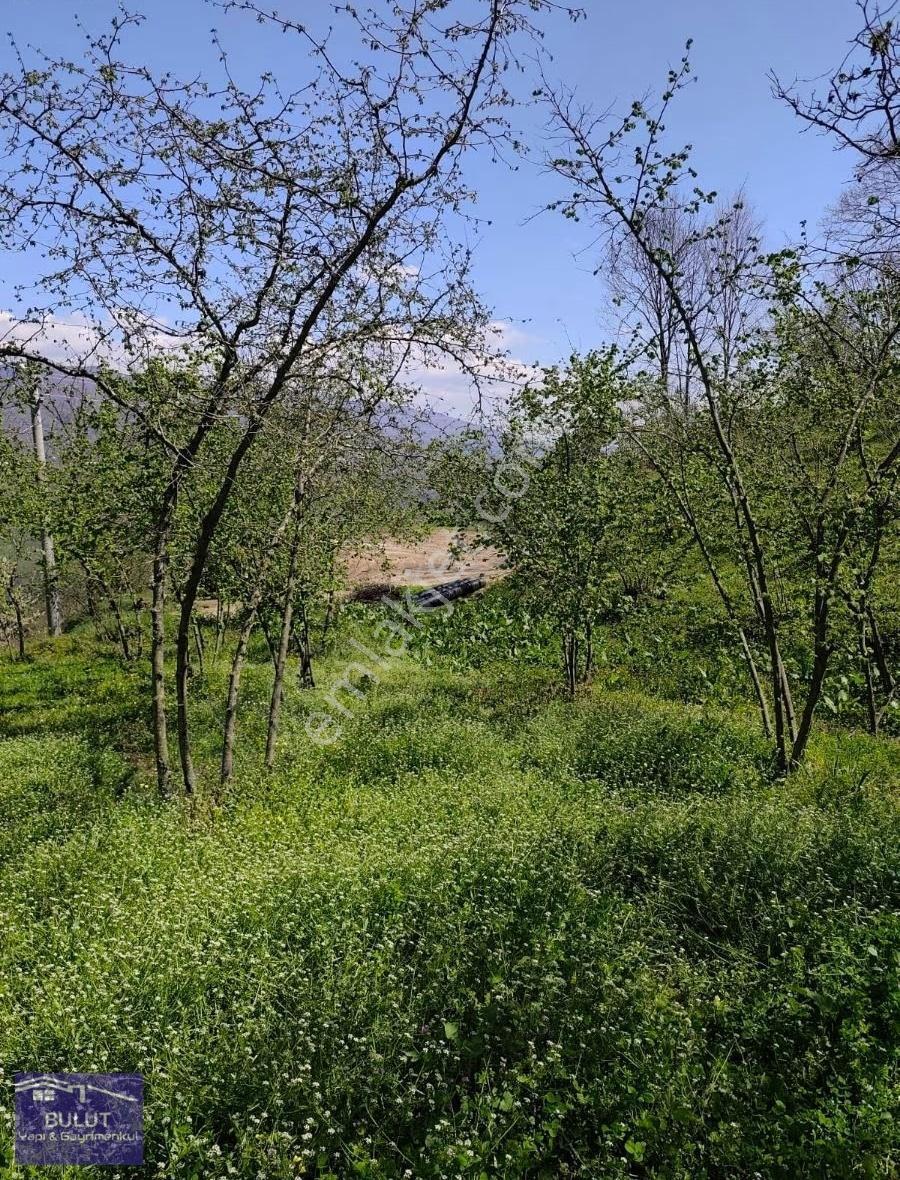 Müthiş Doğa Manzaralı 5.270m2 Fındıklık %40 Inda İmar Mevcut. - Görsel 2