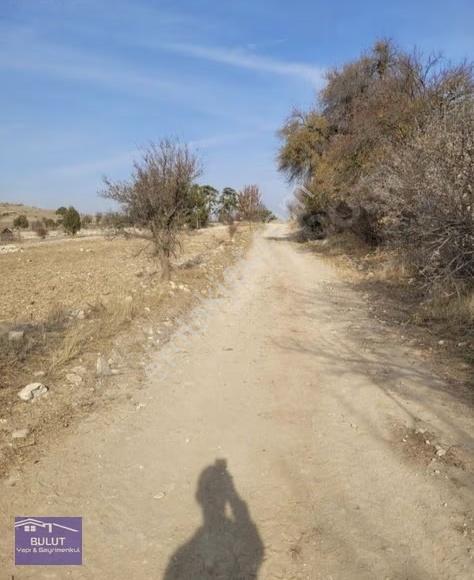 Mustakil Parsel 1.955m2 Çift Yola Cepheli.düz ,köye İmara Yakın. - Görsel 5