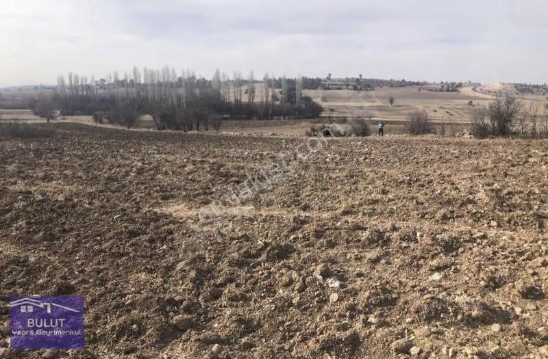 Mustakil Parsel 1.955m2 Çift Yola Cepheli.düz ,köye İmara Yakın.