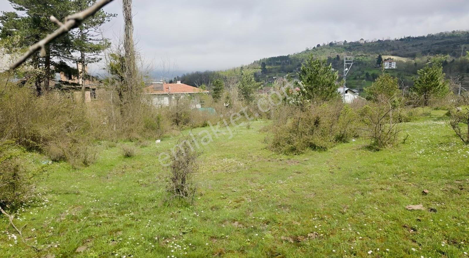 Cide İlkim Emlak'tan İmarlı Satılık Arsa - Görsel 7