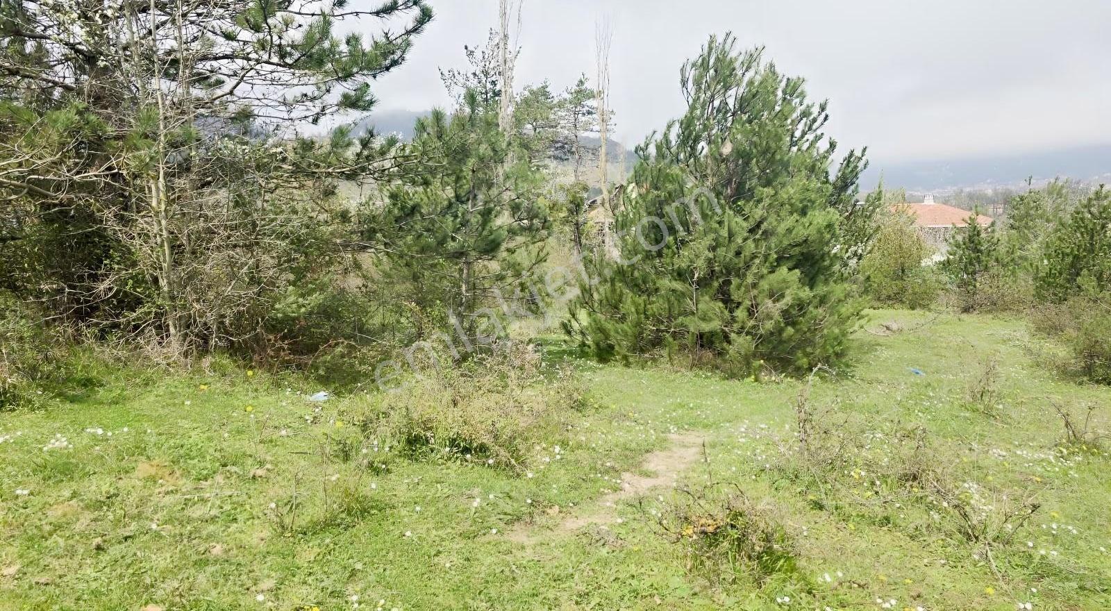 Cide İlkim Emlak'tan İmarlı Satılık Arsa - Görsel 11