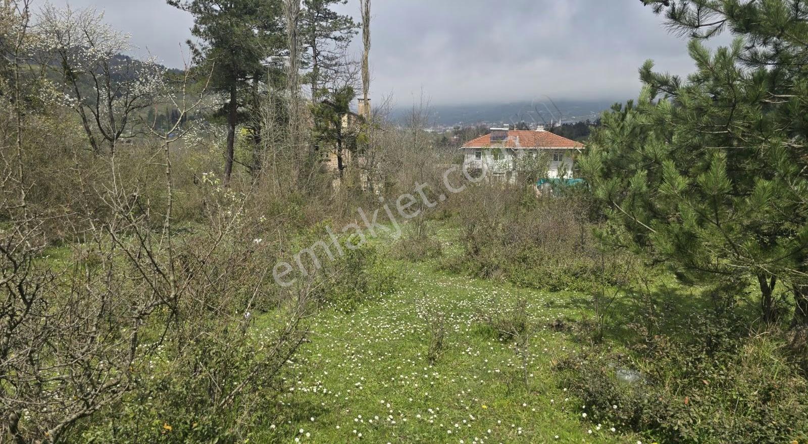 Cide İlkim Emlak'tan Şehir Merkezinde Köy İmarlı Arsa Satılık - Görsel 6
