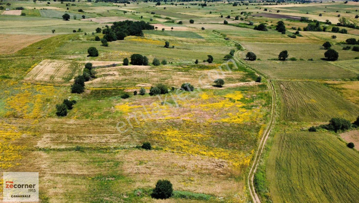 Çanakkale Biga'da Yola Cepheli 8764 M2 Satılık Hesaplı Tarla - Görsel 5