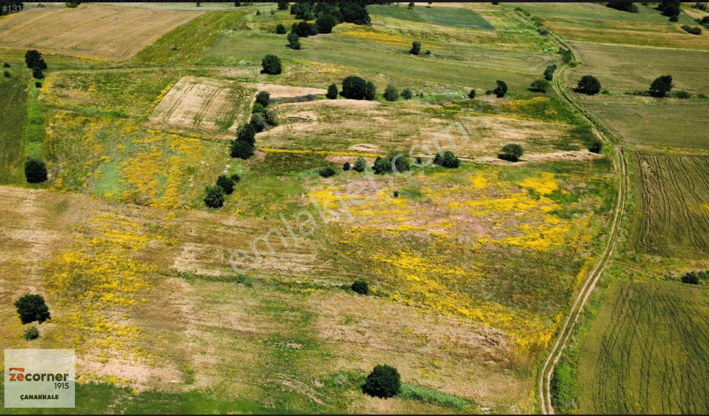 Çanakkale Biga'da Yola Cepheli 8764 M2 Satılık Hesaplı Tarla - Görsel 7