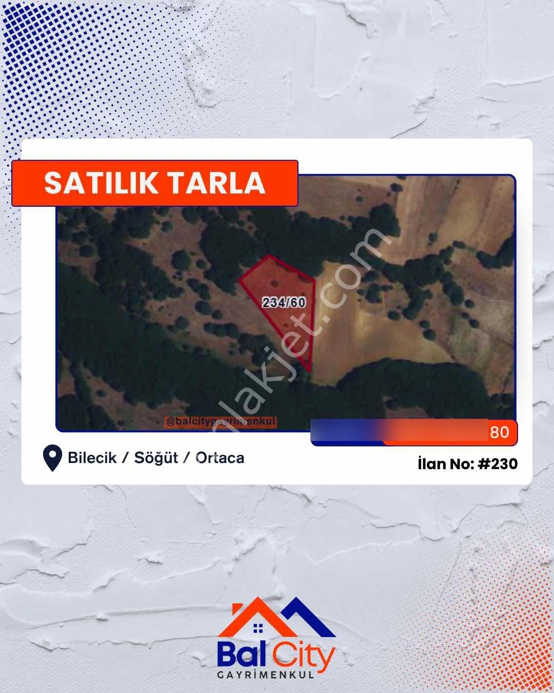 Bilecik-söğüt-ortaca'da 4 Dönüm Yatırım Fırsatı - Görsel 5
