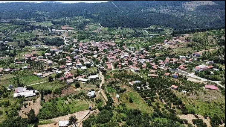 Çanakkale Biga Çınardere'de Yola Cepheli Satılık 6562 M2 Tarla
