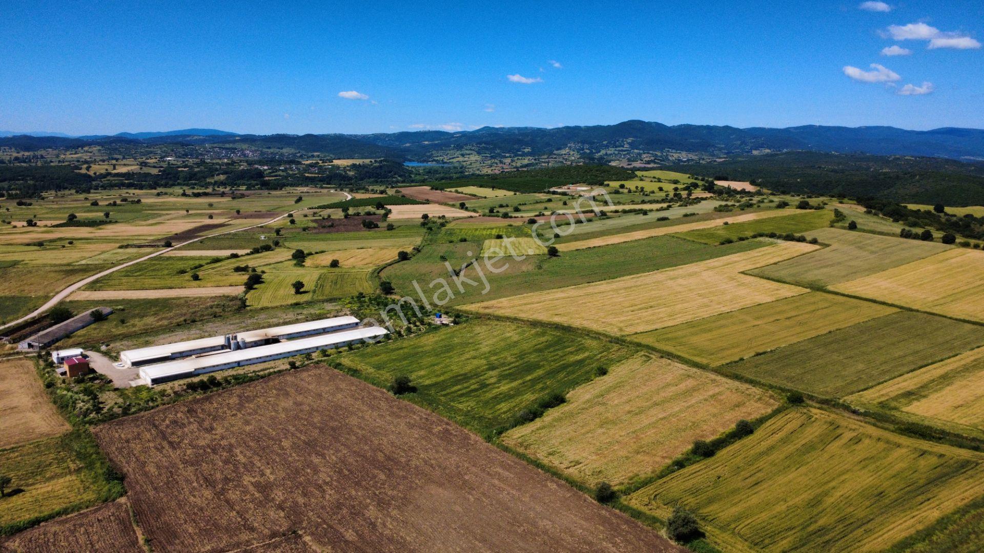 Çanakkale Biga Çınardere'de Yola Cepheli Satılık 6562 M2 Tarla - Görsel 8